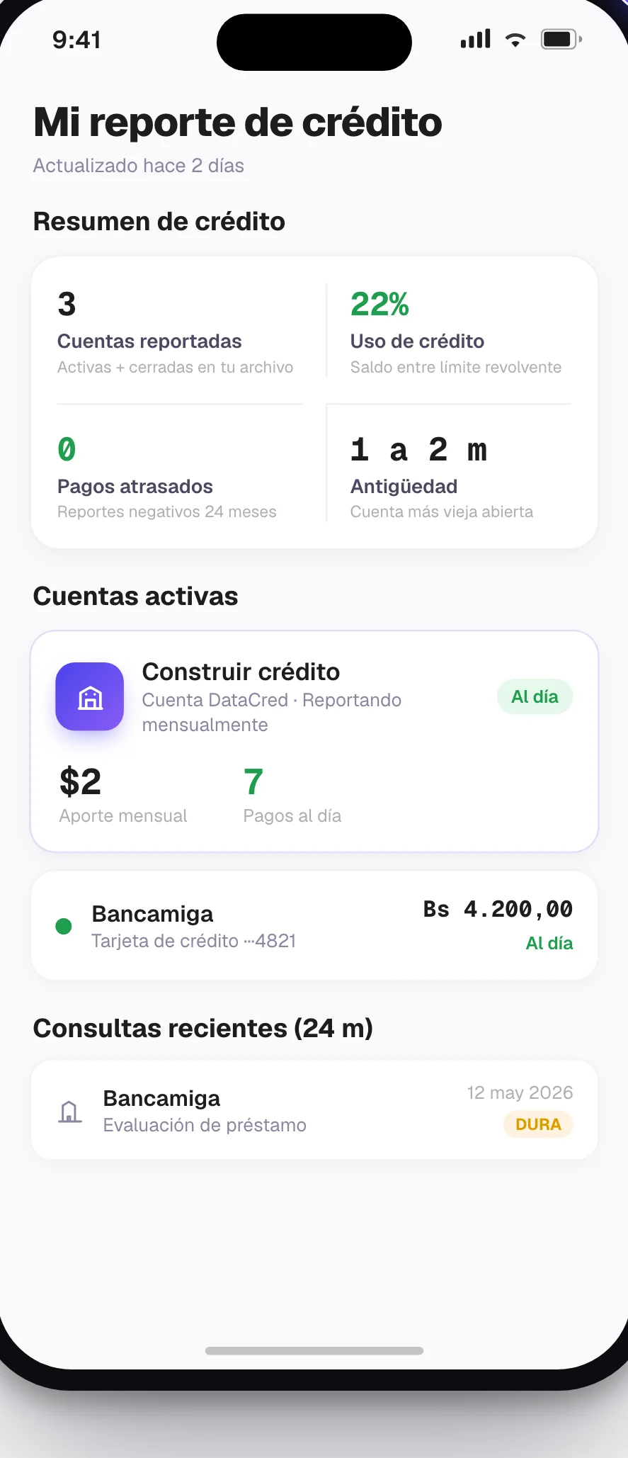 Reporte de crédito de DataCred con cuentas y consultas